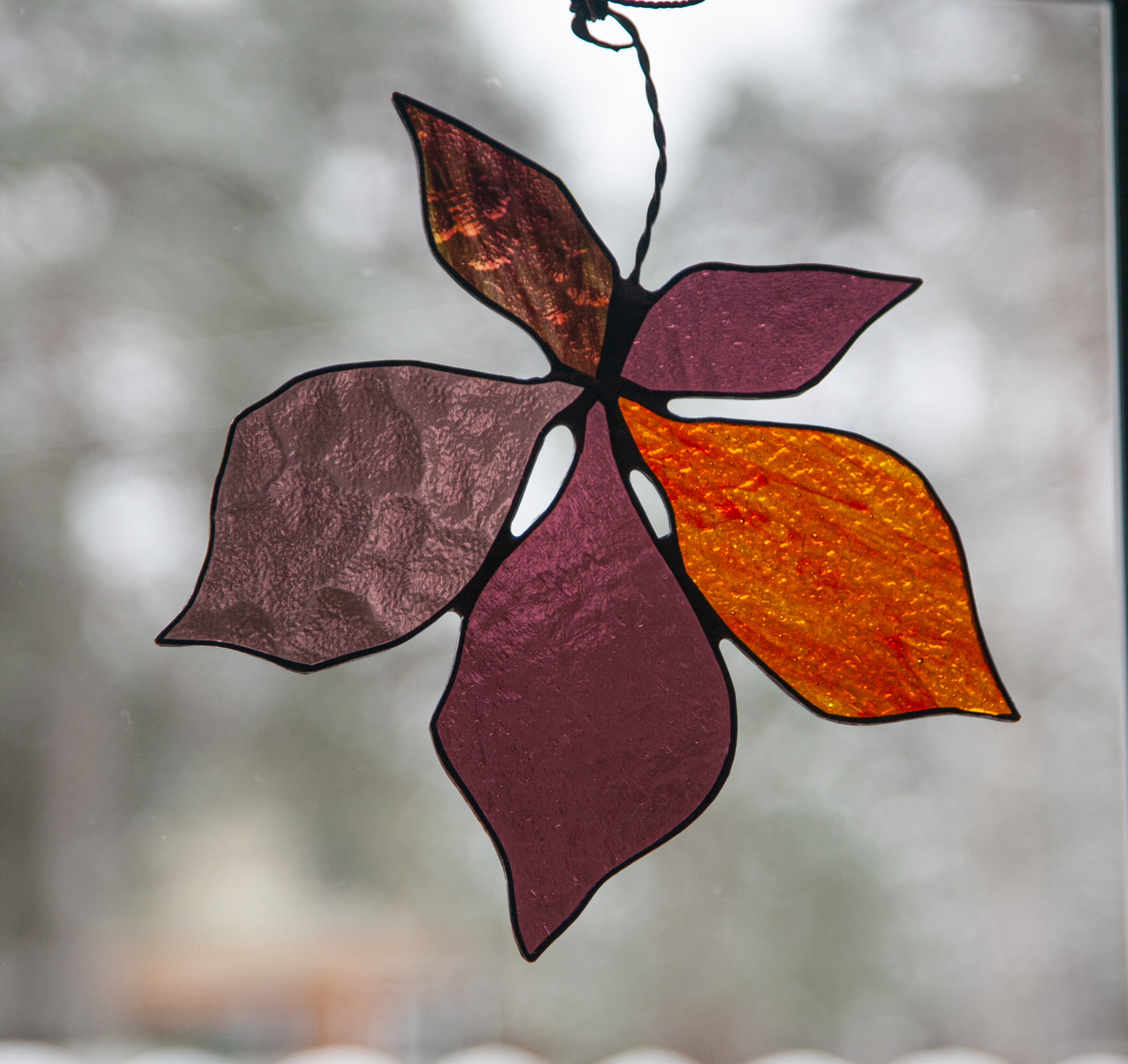 Rudens lapa